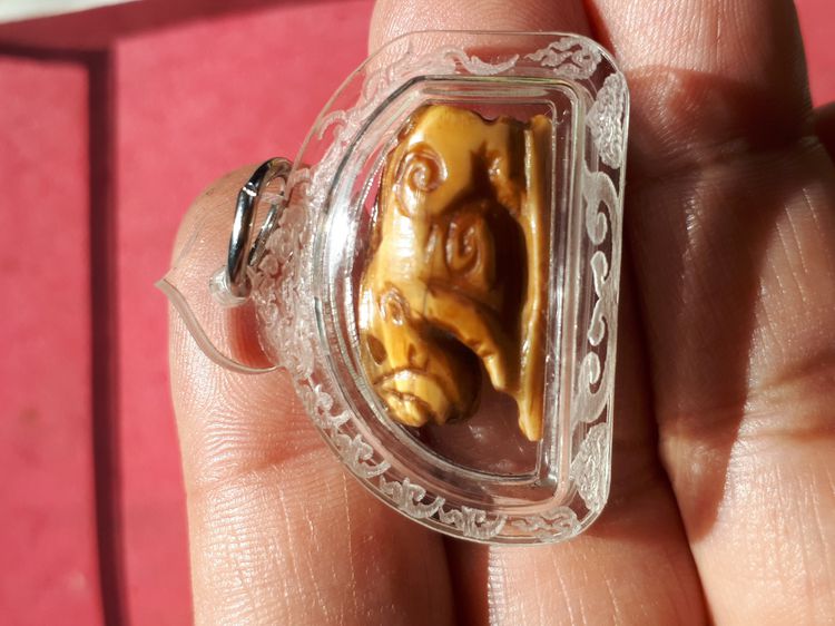 หมู เขี้ยวหมูตันแกะ เนื้อแน่น ผิวเดิม จารมือที่ฐาน ขอบไม่คม ผิวออกเหลืองอมเขียว เป็นธรรมชาติ ศิลปะการแกะอย่างสวย สร้างน้อย หายาก สภาพสวยสมบู รูปที่ 5