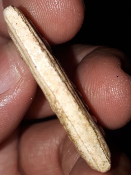 พระสมเด็จวัดระฆัง รุ่นแรก พิมพ์ใหญ่ สองหน้า เนื้อผง แห้ง บาง มีมวลสาร เหี่ยวย่น ขอบไม่คมมือ ผิวเดิม สวยงาม คมชัด สภาพสวยเก่า เดิมๆ แท้ หายาก รูปที่ 3