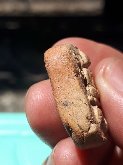 พระหลวงพ่อปาน วัดบางนมโค พิมพ์ทรงไก่หางพวง เนื้อดิน รุ่นแรก ผงเต็ม ผิวเดิม แห้ง บาง มีมวลสาร เหี่ยวย่น พิมพ์คม ชัดสวยงาม สภาพสวยเก่า แท้ หาย รูปที่ 2