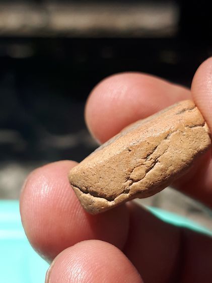 พระหลวงพ่อปาน วัดบางนมโค พิมพ์ทรงไก่หางพวง เนื้อดิน รุ่นแรก ผงเต็ม ผิวเดิม แห้ง บาง มีมวลสาร เหี่ยวย่น พิมพ์คม ชัดสวยงาม สภาพสวยเก่า แท้ หาย รูปที่ 4