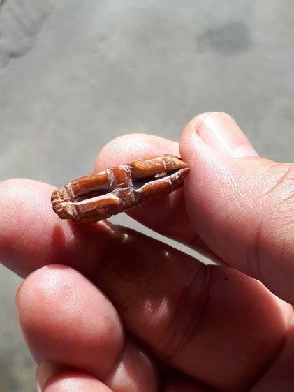 หนุมานถวายแหวน  ขนาดยาว 2 ซม.สูง 1.2 ซม. เนื้อR สีน้ำผึ้ง ฉ่ำ หนา แท้ เก่ามากๆ หายาก ศิลป์สวย ไม่ทราบที่ รูปที่ 5