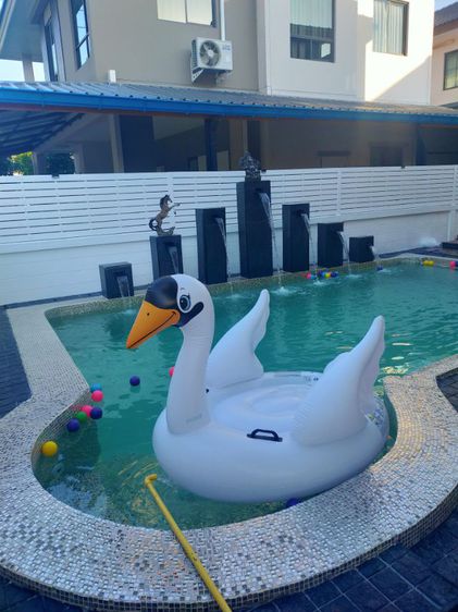 รับทำ,รับซ่อมบ่อปลาคาร์ฟ,รับแก้ปัญหาน้ำขุ่นน้ำเขียว รูปที่ 2