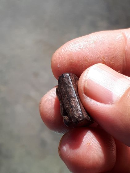 พระปิดตา พิมเศียรตัด หลังยันต์ หลวงปู่ภู่ วัดนอก จ.ชลบุรี เนื้อผงคลุกรัก เนื้อจะออกสีน้ำตาลอมเหลือง สีน้ำตาลเข้ม ลงรัก กดพิมพ์ได้ลึกติดชัดเจ รูปที่ 3