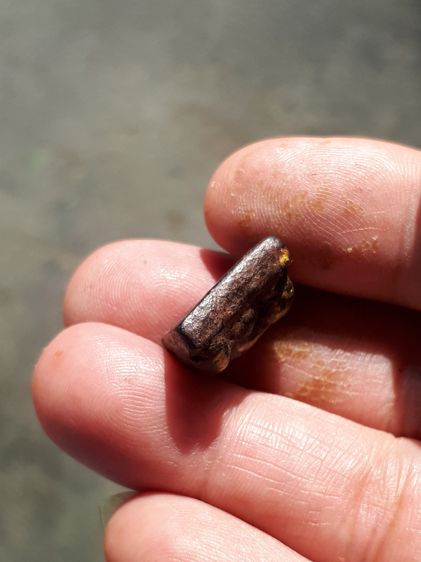 พระปิดตา พิมเศียรตัด หลังยันต์ หลวงปู่ภู่ วัดนอก จ.ชลบุรี เนื้อผงคลุกรัก เนื้อจะออกสีน้ำตาลอมเหลือง สีน้ำตาลเข้ม ลงรัก กดพิมพ์ได้ลึกติดชัดเจ รูปที่ 4