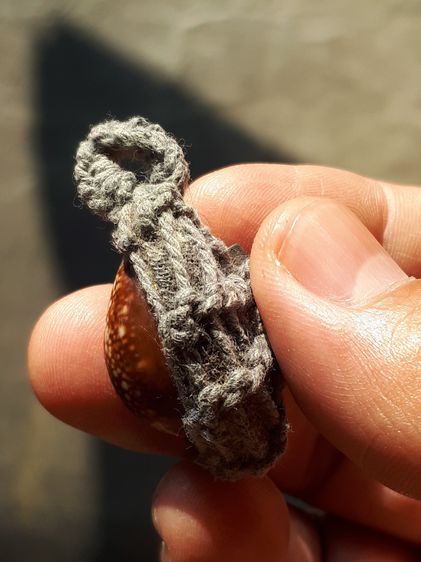 เบี้ยแก้ เปิดหลัง มีห่วง เชือกป่านถัก มีตะกรุด ลูกใหญ่ มีน้ำหนัก เบี้ยเก่ามาก สีจืด เชือกเปื่อยแล้ว แท้ แปลก หายาก ไม่รู้ที่ รูปที่ 4