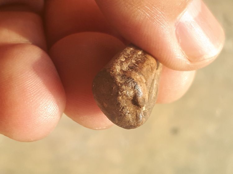 พระร่วงยืนตอ พิมพ์เล็ก พระกรุ กำแพงเพชร เนื้อดิน สีมอย ผิวเดิม มัน เงา เหี่ยวย่น มีคราบกรุ เก่า แท้ หายาก ไม่ทราบกรุ. พุทธคุณปรากฏครบเครื่อง รูปที่ 5