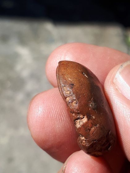 พระกำแพงซุ้มกอ พิมพ์ขนมเปี๊ยะ พิมพ์เล็ก กรุวัดพิกุล หลังอย่างสวย เนื้อดิน มีแร่ดอกมะขาม สีพิกุลเข้มๆ ผิวมันเงา แห้ง ตำหนิครบ จับองค์พระแล้วไ รูปที่ 3