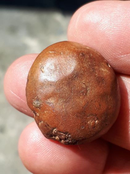 พระกำแพงซุ้มกอ พิมพ์ขนมเปี๊ยะ พิมพ์เล็ก กรุวัดพิกุล หลังอย่างสวย เนื้อดิน มีแร่ดอกมะขาม สีพิกุลเข้มๆ ผิวมันเงา แห้ง ตำหนิครบ จับองค์พระแล้วไ รูปที่ 2