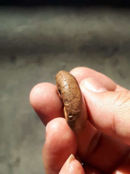 พระปิดตา พิมพ์สี่ทิศ กรุวัดคูยาง จ.กำแพงเพชร ปี 2445-2448 เนื้อดินเผา แกร่ง อายุมากกว่า 100 ปี แท้ หายาก สร้างโดยพระครูธรรมาธิมุติมุนี (สมภา รูปที่ 3