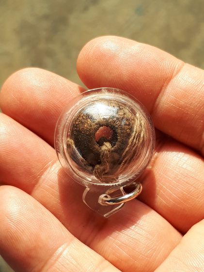 ตะกรุดพิสมร เนื้อผงคลุกรัก แห้ง เหี่ยว มีสายสิญจน์คาด สภาพสวย สมบูรณ์ ขนาด 10 มม ขนาดเล็ก ผิวเดิมๆ เก่า แท้ แปลก หายาก เลี่ยมกรอบ ไม่รู้ที่  รูปที่ 3