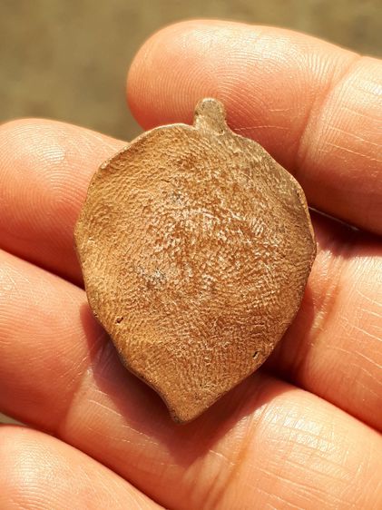 พระโพธิจักร หลังเรียบ พิมพ์โพธิ์กลาง หลวงพ่อลี วัดอโศการาม จ.สมุทรปราการ  เนื้อดินเผา ปี 2500 เนื้อออกสองสี สวย คม สมบูรณ์ เก่า แท้ แปลก หาย รูปที่ 2