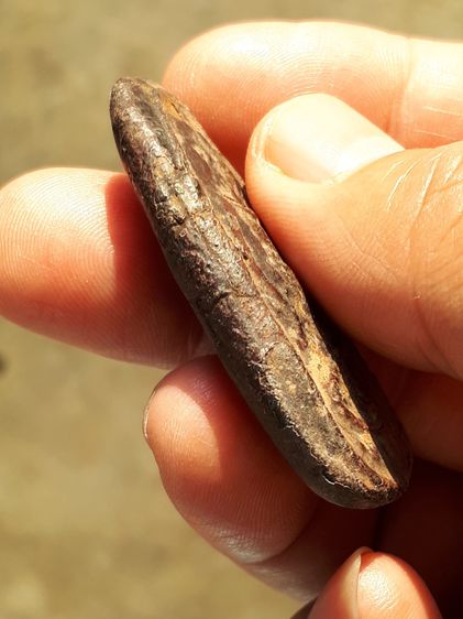 พระลีลาไขว้ เนื้อดิน หลังยันต์ หลวงปู่เพิ่ม วัดกลางบางแก้ว นครปฐม เนื้อดินแห้ง เหี่ยว ผิวมัน เดิมๆ พระสภาพสวย สมบูรณ์ เก่า แท้ แปลก หายาก รูปที่ 5