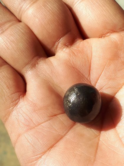 เหล็กไหล ถ้ำลิเจีย จ.กาญจนบุรี สีดำอมน้ำตาล ขนาดกลมมน รูปทรงเป็นไปตามธรรมชาติ มีเส้นคาดตรงกลางอย่างสวย ยุบย่น มีน้ำหนัก เก่า แท้ แปลก หายากม รูปที่ 6