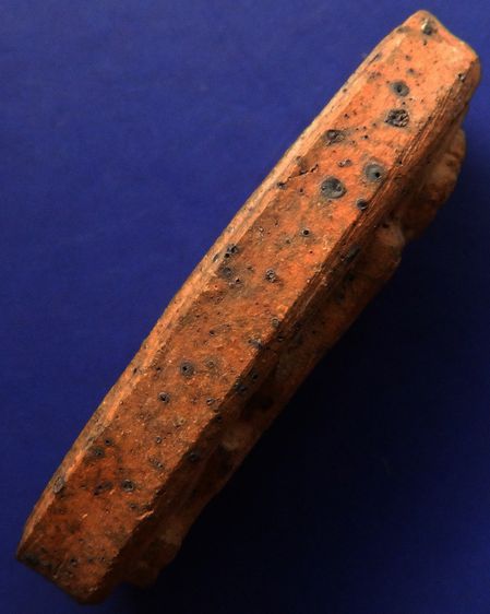 1.พระลีลา 25 พุทธศตวรรษ เนื้อแร่ อย่างหนา รูปที่ 3