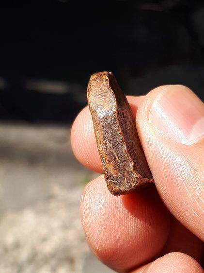 พระซุ้มกอ พิมพ์เล็ก กรุวัดวัดพิกุล กำแพงเพชร เนื้อดิน มีแร่ดอกมะขาม สีแดงเข้ม ผิวมันเงา แห้ง หลังสวย ตำหนิครบ กนกติดแขนด้านซ้าย ตามสูตร จับอ รูปที่ 5