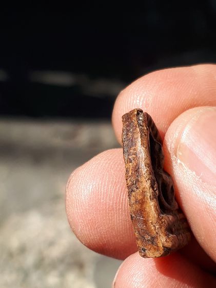 พระซุ้มกอ พิมพ์เล็ก กรุวัดวัดพิกุล กำแพงเพชร เนื้อดิน มีแร่ดอกมะขาม สีแดงเข้ม ผิวมันเงา แห้ง หลังสวย ตำหนิครบ กนกติดแขนด้านซ้าย ตามสูตร จับอ รูปที่ 4