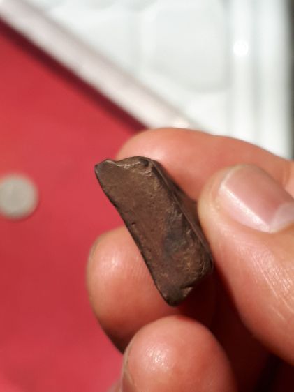 พระพิมพ์ปรกโพธิ์ใหญ่ หลังจาร เนื้อผง หลวงปู่บุญ วัดกลางบางแก้ว จังหวัดนครปฐม ปี 2456 เนื้อมัน แน่น มีน้ำหนัก เนื้อจะแห้ง ดินละเอียด ผิวตึง เ รูปที่ 5