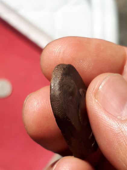 พระพิมพ์ปรกโพธิ์ใหญ่ หลังจาร เนื้อผง หลวงปู่บุญ วัดกลางบางแก้ว จังหวัดนครปฐม ปี 2456 เนื้อมัน แน่น มีน้ำหนัก เนื้อจะแห้ง ดินละเอียด ผิวตึง เ รูปที่ 6