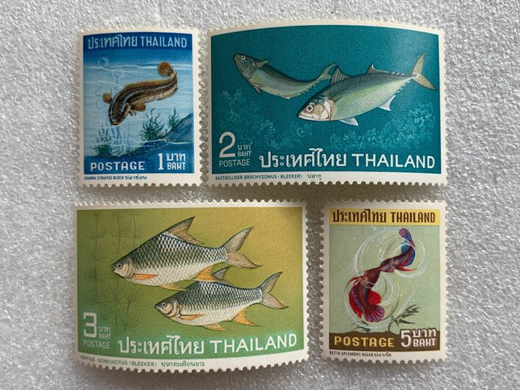 แสตมป์ชุดปลาไทย(ขุด1) รูปที่ 1