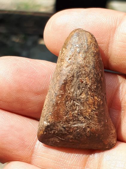 พระกรุ พิมพ์สมาธิ หลังอูม เนื้อดิน ผิวสองสี แห้ง มีคราบนวลดิน หนา อายุเป็น 100 ปี เก่า เดิมๆ สวยๆ ประกันความแท้ พระความสูง 1.5 นิ้ว ก้วาง 1 รูปที่ 7