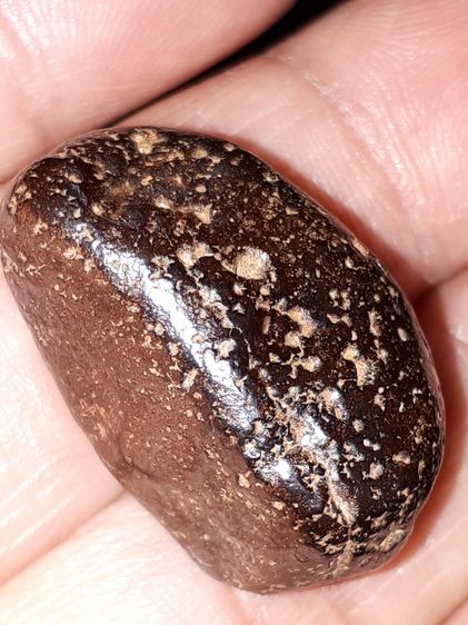 เหล็กไหล ขนาด 3 Cm. สีดำอมน้ำตาล ขนาดยาว รูปทรงเป็นไปตามธรรมชาติ ยุบย่น มีน้ำหนัก สภาพสมบูรณ์ สวยงาม เก่า แท้ แปลก หายากมาก อานุภาพ ผู้ครอบค รูปที่ 5