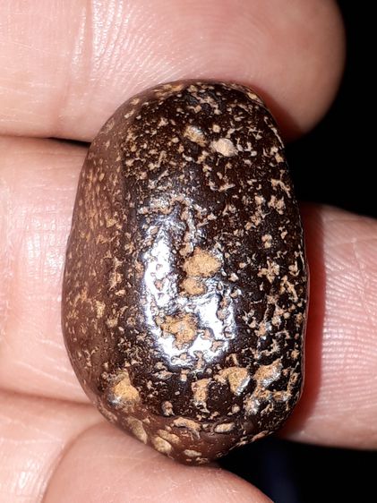 เหล็กไหล ขนาด 3 Cm. สีดำอมน้ำตาล ขนาดยาว รูปทรงเป็นไปตามธรรมชาติ ยุบย่น มีน้ำหนัก สภาพสมบูรณ์ สวยงาม เก่า แท้ แปลก หายากมาก อานุภาพ ผู้ครอบค รูปที่ 6