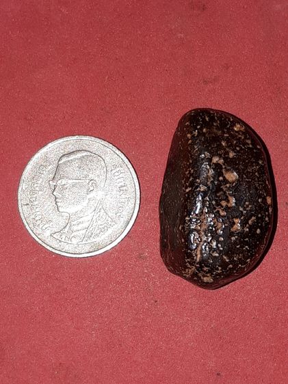 เหล็กไหล ขนาด 3 Cm. สีดำอมน้ำตาล ขนาดยาว รูปทรงเป็นไปตามธรรมชาติ ยุบย่น มีน้ำหนัก สภาพสมบูรณ์ สวยงาม เก่า แท้ แปลก หายากมาก อานุภาพ ผู้ครอบค รูปที่ 7