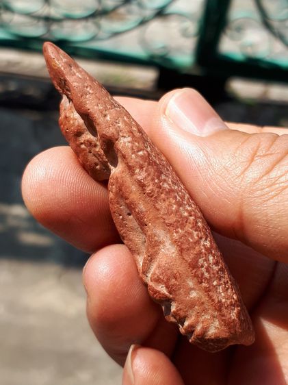 พระนาคปรก กรุนาดูน พิมพ์จัมโบ้ อายุ 1,200 ปี ศิลปทวาราวดี ยุคปลาย กรุสามต้นยาง อ.นาดูน จ.มหาสารคาม เนื้อดินเผาออกสีแดงเข้ม เนื้อดินหยาบ ขนาด รูปที่ 6