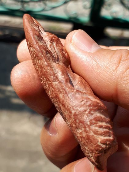 พระนาคปรก กรุนาดูน พิมพ์จัมโบ้ อายุ 1,200 ปี ศิลปทวาราวดี ยุคปลาย กรุสามต้นยาง อ.นาดูน จ.มหาสารคาม เนื้อดินเผาออกสีแดงเข้ม เนื้อดินหยาบ ขนาด รูปที่ 5