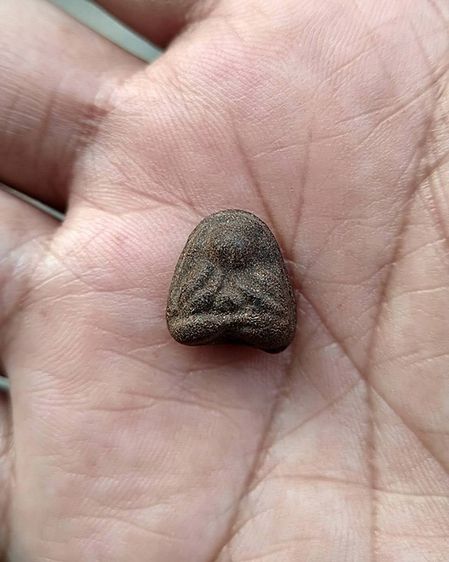 ปิดตาหลวงพ่อปาน วัดเครือวัลย์ ชลบุรี พิมพ์เล็กหลังเบี้ย สูง 1.3 ซ.ม ผสมผงเก่า ลพ.แก้ว ปี 250กว่า รูปที่ 9