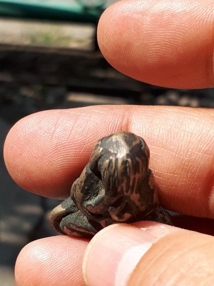 พระปิดตา ยันต์ยุ่ง เนื้อสัมฤทธิ์เงิน ขนาดพอดี สภาพสวยมาก หุ่นพิมพ์มาตรฐานนิยม เส้นยันต์เป็นแท่งคมชัด มีน้ำหนัก ผิวเดิมๆ-ไม่ผ่านการล้าง ตัวจร รูปที่ 6