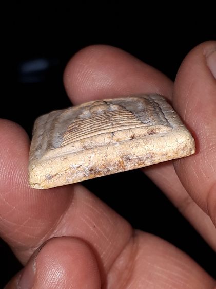 พระสมเด็จ วัดเกศไชโย หลังเรียบ ปี 2485 พิมพ์นิยม 7 ชั้น เนื้อผง เนื้อเหลือง ผิวเป็นธรรมชาติ แตกลาน ขอบไม่คม เนื้อผงละเอียด จัด มวลสารครบถ้วน รูปที่ 7