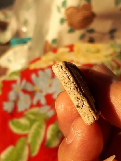 พระสมเด็จ วัดระฆัง พิมพ์ใหญ่ เนื้อผง พิมพ์คม ชัด ทรงสวย หลังสวยมาก ขอบไม่คม เนื้อแห้ง เนื้อหาเข้มข้น เนื้อพรุน ผิวเปิด สวย สมบูรณ์มาก สภาพเด รูปที่ 8