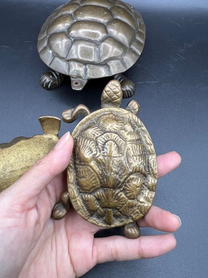 Set งานเต่า ยุโรปนำเข้า รูปที่ 5