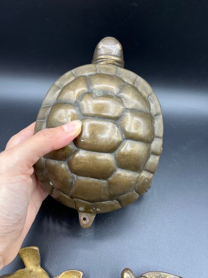 Set งานเต่า ยุโรปนำเข้า รูปที่ 4