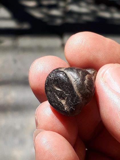 พระปิดตา พิมพ์พุงป่อง สังกัจจายน์ เนื้อผงจุ่มรัก หลวงปู่ยิ้ม วัดหนองบัว หลังเรียบ เนื้อผงแก่มวลสาร จัด แห้ง นวลตา ไม่แข็งกระด้าง ผิวเดิมๆ เก รูปที่ 8