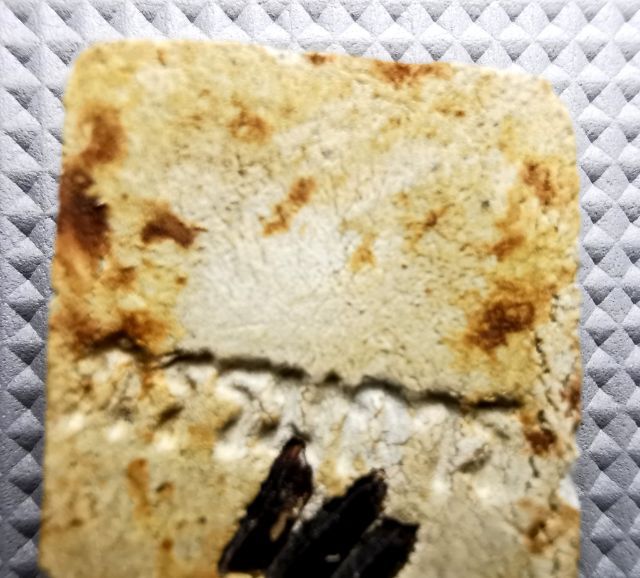 พระสมเด็จขาโต๊ะ​ หลังข้าวสารดำ​ หลวงปู่โต๊ะ รูปที่ 9