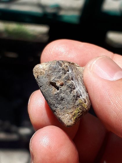 พระหลวงพ่อทวด เนื้อว่าน พิมพ์ใหญ่ ไหล่จุดหูขีด นิยม ปี2497 จ.ปัตตานี ด้านหลังเรียบ เนื้อเทาดำ ดินกากยายักษ์ แห้ง เหี่ยว ผิวเดิมๆ แร่จม เป็นธ รูปที่ 5