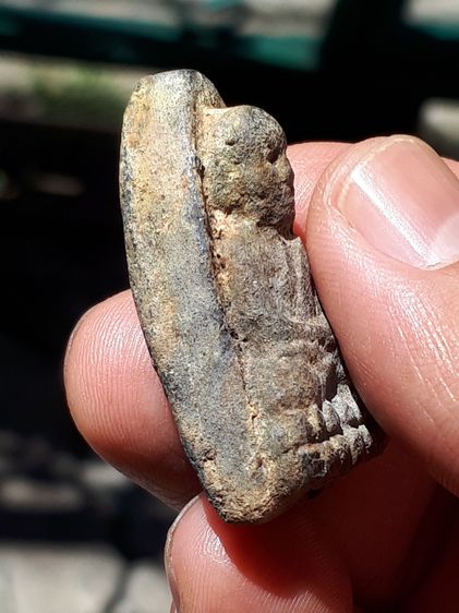 พระหลวงพ่อทวด เนื้อว่าน พิมพ์ใหญ่ ไหล่จุดหูขีด นิยม ปี2497 จ.ปัตตานี ด้านหลังเรียบ เนื้อเทาดำ ดินกากยายักษ์ แห้ง เหี่ยว ผิวเดิมๆ แร่จม เป็นธ รูปที่ 4