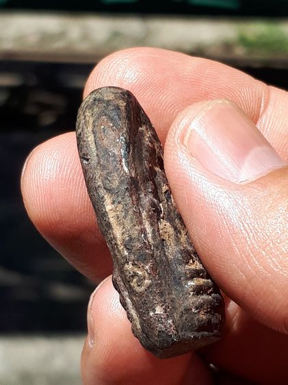 พระกริ่งคลองตะเคียน พิมพ์ 2 หน้าสวนตรง ยันต์ 3 ด้าน นิยมสุด กรุวัดประดู่ทรงธรรม จ.อยุธยา เนื้อผง สวย องค์นี้สภาพสวย เก่าเก็บหายากกว่าหน้าเดี รูปที่ 3