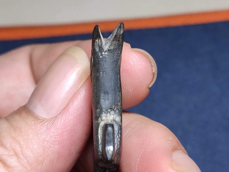 พ.หลวงพ่อลัด วัดหนองกระบอก จ.ระยอง รูปที่ 5