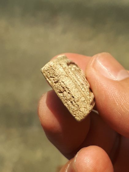 พระสมเด็จไกเซอร์ พิมพ์คะแนน วัดระฆัง รุ่นแรก ขนาดกว้าง 2.2 ซม. สูง 3 ซม เนื้อผง ผิวออกเหลือง ผิวมัน แห้ง เหี่ยว พระหนา เก่าสวยสมบูรณ์ ไม่หัก รูปที่ 5