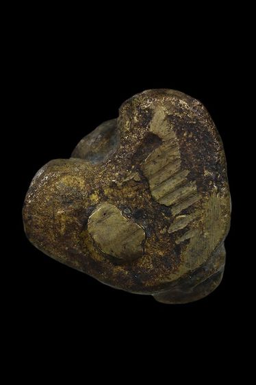 พระปิดตาอาจารย์ศรีแก้ว วัดไทรใหญ่ จ.สงขลา รูปที่ 3