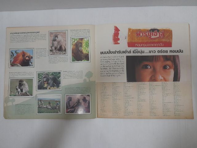 สมุดสะสมสติกเกอร์ ชีวิตสัตว์โลก รูปที่ 7