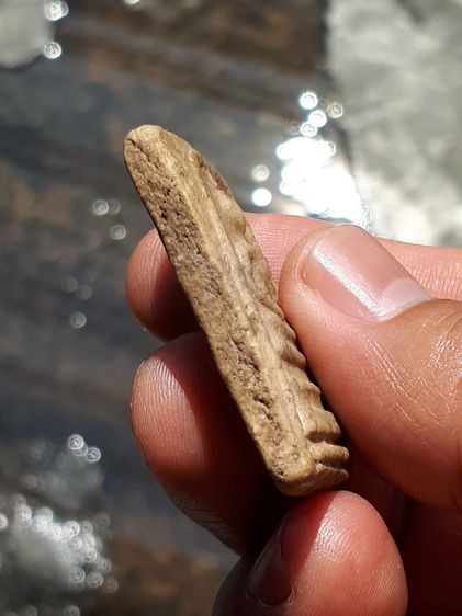 พระสมเด็จ พิมพ์ใหญ่ หลังเรียบลายกาบหมาก ขอบแตกปริ เนื้อผง แห้ง ละเอียด แตกลาน มวลสารครบ สวย งดงาม แห้ง เหี่ยว ยุบย่น เนื้อหามวลสารของพระสมเด รูปที่ 4