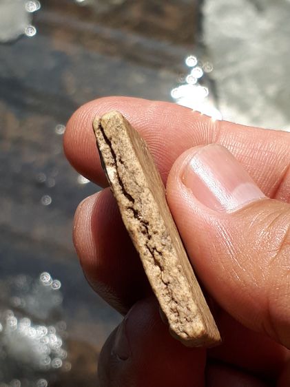 พระสมเด็จ พิมพ์ใหญ่ หลังเรียบลายกาบหมาก ขอบแตกปริ เนื้อผง แห้ง ละเอียด แตกลาน มวลสารครบ สวย งดงาม แห้ง เหี่ยว ยุบย่น เนื้อหามวลสารของพระสมเด รูปที่ 3