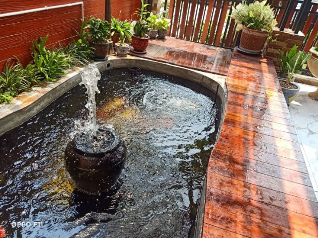 รับทําบ่อปลาคราฟ รับซ่อมบ่อรั่วบ่อร้าว แก้ไขระบบกรอง รูปที่ 2