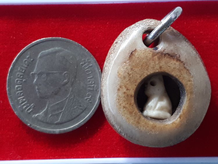 เสือ สาริกา เนื้อฉ่ำ ผิวมัน ขนาดจิ๋ว เก่า แท้ หายาก เลี่ยมอยู่ในตลับอะไรไม่รู้ แปลกมาก ไม่รู้ที่ รูปที่ 9