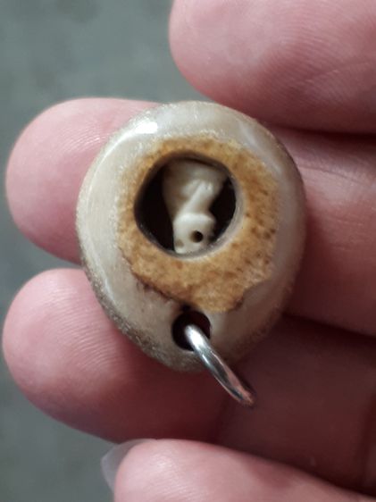 เสือ สาริกา เนื้อฉ่ำ ผิวมัน ขนาดจิ๋ว เก่า แท้ หายาก เลี่ยมอยู่ในตลับอะไรไม่รู้ แปลกมาก ไม่รู้ที่ รูปที่ 5