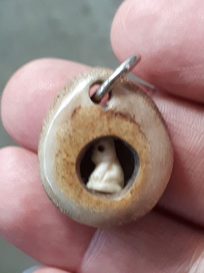 เสือ สาริกา เนื้อฉ่ำ ผิวมัน ขนาดจิ๋ว เก่า แท้ หายาก เลี่ยมอยู่ในตลับอะไรไม่รู้ แปลกมาก ไม่รู้ที่ รูปที่ 3